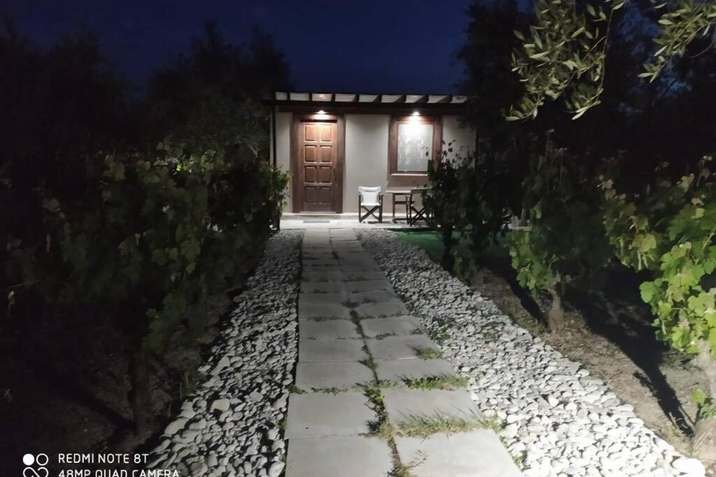 Raisin House Villa Koukounariá Kültér fotó